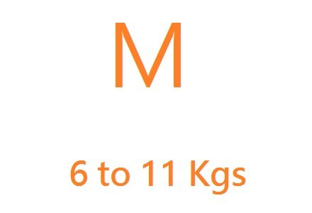 Medium (6-11kgs)