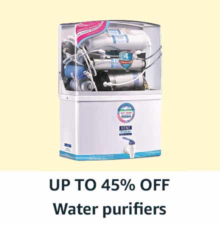 Flower Plants and Vases