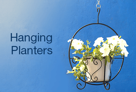 Plant Containers: Buy Plant Containers Online at Best 