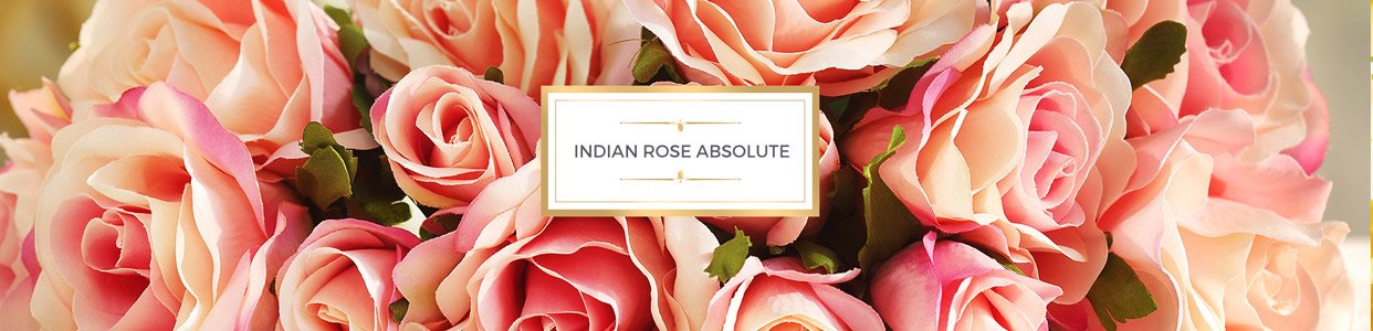 Amazon.in: Forest Essentials Fragrances: Luxury Beauty