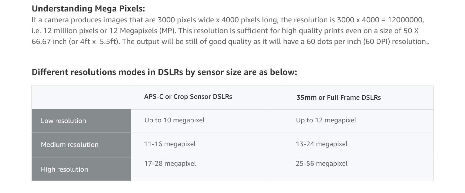 Amazon.in Camera, Lens & Accessories buying guide Electronics