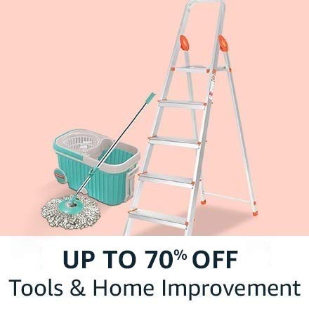 Flower Plants and Vases