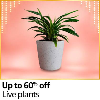 Shop now >