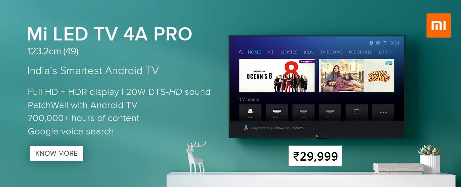 Mi LED TV 4A Pro (49)