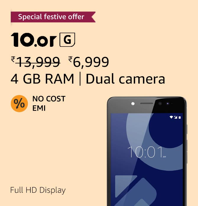 Flower Plants and Vases