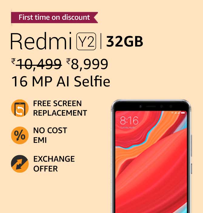 Flower Plants and Vases