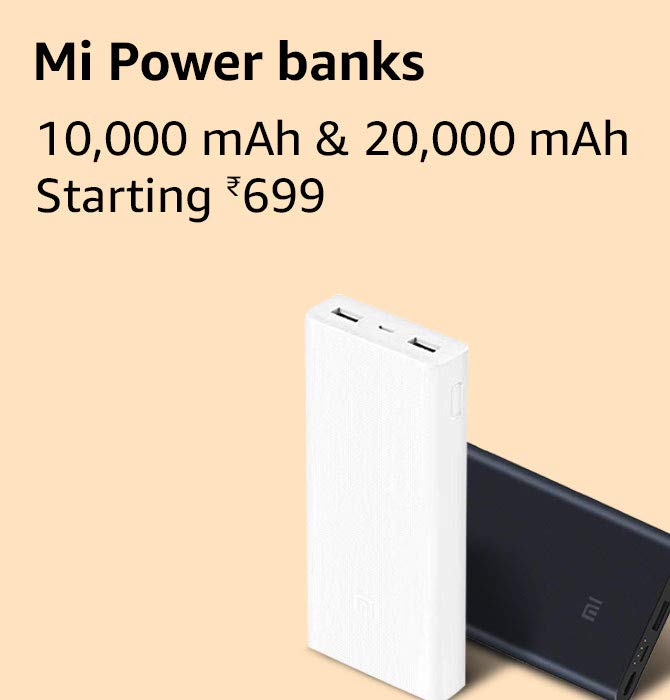 Flower Plants and Vases