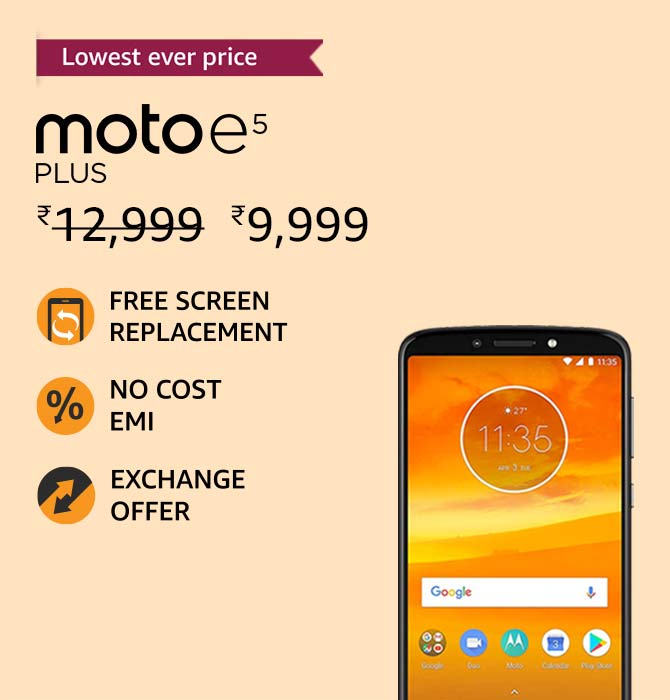 Flower Plants and Vases