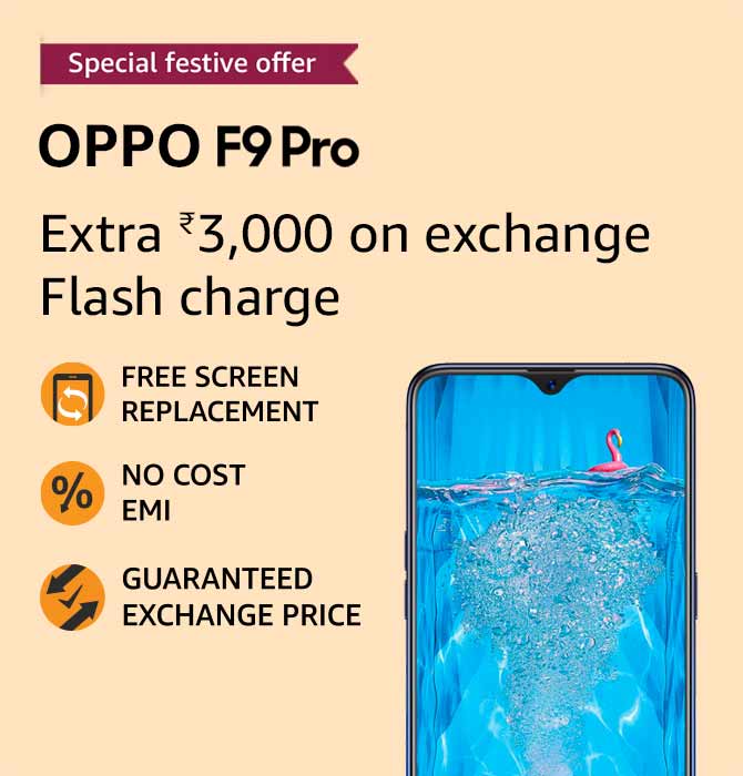 Flower Plants and Vases