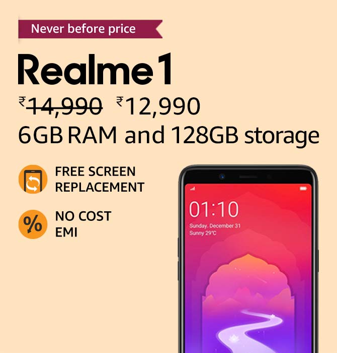 Flower Plants and Vases