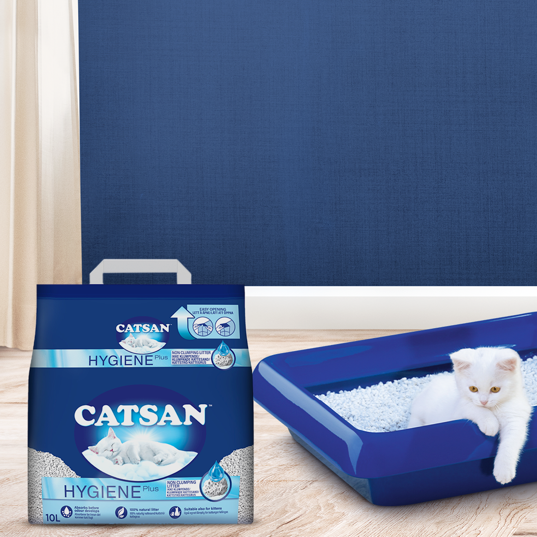 Amazon.in Article on cat litter Pet Supplies