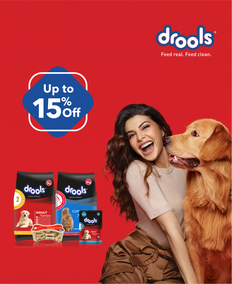 Pet Supplies Buy Dog Supplies online at best prices in India Amazon.in