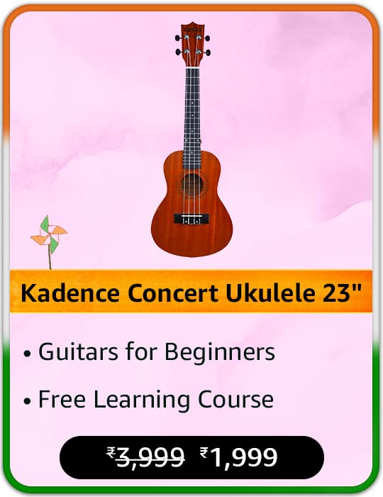 Musical Instruments Online Buy Musical Instruments in India Best