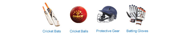 Cricket