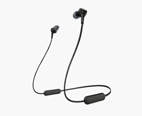 Earphones
