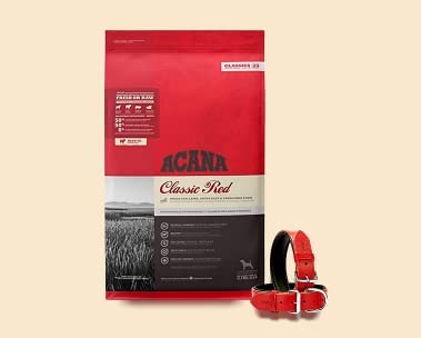 Köpek ürünlerinde az öde çok gülümse