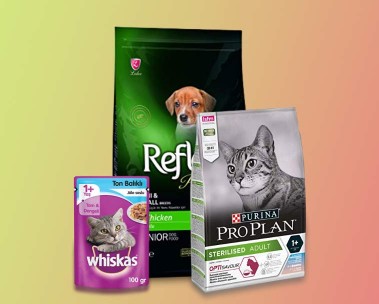 Sokak hayvanları gününe özel avantajlı fiyatlar