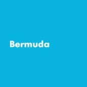 Montana Peinture en bombe or Bermuda (G 5030)