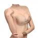 Phenovo Silicone Adhesive Stick Push Up Strapless Invisible Backless Bra Beige A RS.530.00