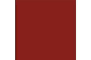 MIPA SE Mipa Protector Set Tintable Including Hardener + RAL Pigment - 2K PU Acrylic Paint Transport Surface Coating Protective Coating (RAL 3001 Signal Red)