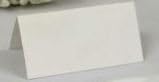 Plain Ivory Placecards (Set of 50)