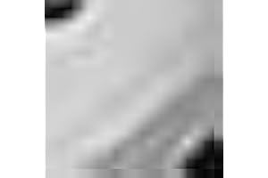 MATTIOLI Sandalo Clog Uomo Donna e Bambino in Eva Zoccoli Classici Sabot ICONIX e Griff