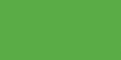 Bulk Buy: Fisher Fulfillment Oracal 631 Matte Vinyl W/Repositionable Adhesive 12x24 Sheet Lime Tree Green (10-Pack)