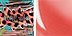 BENEFIT CORALISTA ULTRA PLUSH LIP GLOSS - SHEER CORAL
