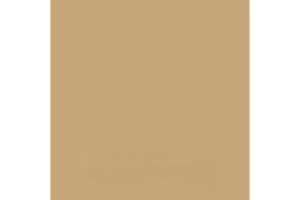 MIPA SE Mipa Protector Set tönbar inkl. Härter + RAL Pigment - 2K-PU-Acryllack Transportflächenbeschichtung Schutzbeschichtung (RAL 1001 BEIGE)