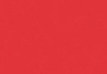 Wonderwall Outdoor Weatherproof Lockable (Red) Notice Board with Wood Effect Aluminium Frame - (H)750 x (W)537mm with 2 matching locks