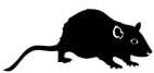 Rat Car Window Sticker Vinyl Decal - By SCA ART