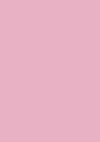 Tonpapier / Tonkarton (48 Farben / A4 - 21,0 x 29,7 cm - 130 g/m2 - 10 Blatt) FARBE FREI WÄHLBAR (ROSA)