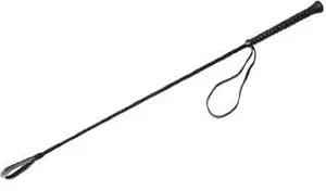 Kapoor Pets Nylon Stick for Dog (KP_1016)