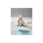 Preisvergleich Produktbild Steiff 501401 - Polarfuchs sitzend