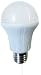 Produktbild LED Birne Leuchte 10 W 12V DC E27 Solar geeignet