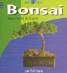 Preisvergleich Produktbild Der Mini-Bonsai
