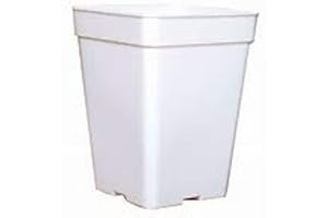 DESCONOCIDO Lot de 10 pots carrés blancs de culture de 11 litres - 23 x 23 x 27,5 cm