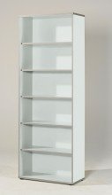 Preisvergleich Produktbild iovivo Regal Topeka breit 6 Ordnerhöhen, Office grau