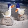 Möwe auf Stein mit Pudelmütze