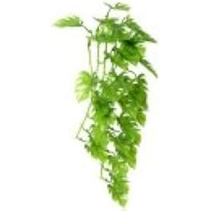 Hobby Climber Philo - 37 cm