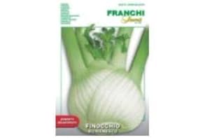SEEDS OF ITALY LTD Franchi Finocchio Romanesco