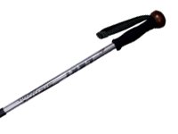 Preisvergleich Produktbild LEKI Wanderstock SIERRA FS