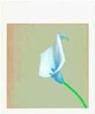 Zehn mal Zehn / Ten by Ten. Photographien by