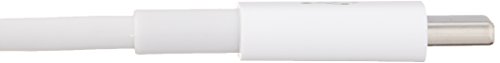 AmazonBasics – Verbindungskabel, USB Typ C auf USB Typ C, USB 2.0, 15,2 cm, Weiß - 4