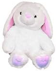 16" Build Stuff a Teddy Bear White Bunny Rabbit Deluxe Party Kit with Passport and T-shirt