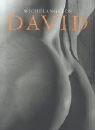 Michelangelos David by 
