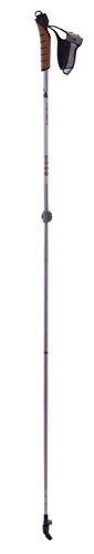 Preisvergleich Produktbild Fischer Nordic Walkingstöcke - Langlaufstöcke