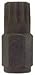 Assenmacher ASS6300X-14 14 mm 12 Point Bit
