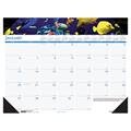 Preisvergleich Produktbild House Of Doolittle hod193 Sea Life Fotografien Monatliche Schreibtischunterlage Kalender