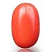 Certified Coral (Moonga) 6.25 Ratti or 5.69 Carat With Certificate -A9625 RS.1125.00